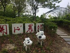 -上海滴水湖皇冠假日酒店