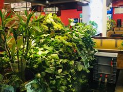 -洞庭家宴·头牌甲鱼(广渠门店)