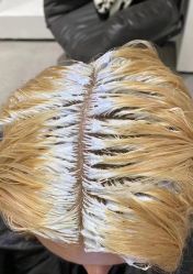 -藤野造型