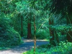 -西岭雪山大飞水景区