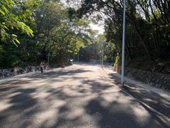 -梧桐山风景名胜区