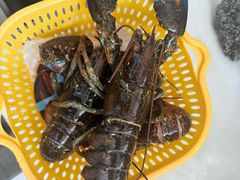 -盒马鲜生(顺义店)