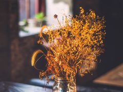 -如家酒店(北京国展三元桥店)