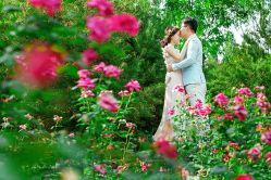 长虹公园 田园风.jpg-戛纳印象摄影(潮拍定制馆)