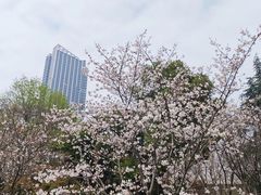 -堤角公园
