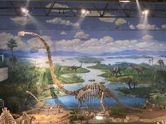 -自贡恐龙博物馆