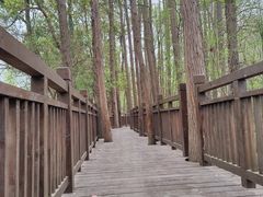 -东湖落雁景区
