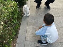 -西安大兴善寺