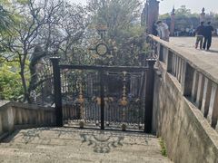 -上海佘山国家森林公园西佘山园