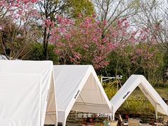 -梁鸿国家湿地公园