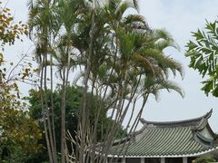 -鼓浪屿钢琴博物馆