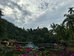 -西双版纳原始森林公园