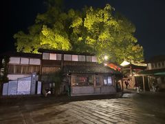 -楠溪江风景名胜区