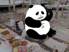 -桉树林A coffee 森林餐厅(三圣乡店)