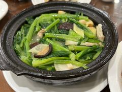 -长平肥姐白粥·海鲜打冷