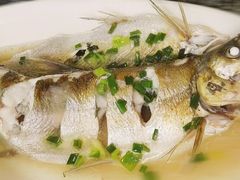 清蒸白水鱼-苏州人家(锦溪镇店)