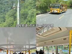-栾川竹海野生动物园