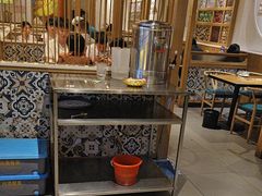-黑家养生粥道馆(新世纪店)