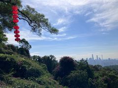 -点都德(广州白云山景区南门店)