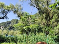 -秦岭终南山世界地质公园翠华山景区