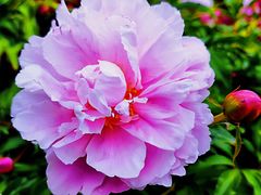 -长春公园(普阳街道)