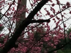 -天赐温泉