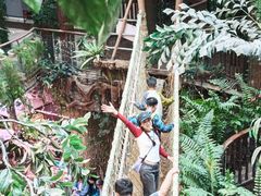 -正佳雨林生态植物园