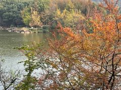 -白马涧龙池景区