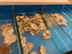 -火舞泰·泰式海鲜火锅餐厅(世纪城店)