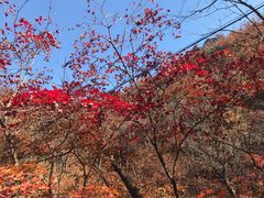 -丹东凤凰山景区