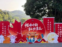 -广州市帽峰山景区