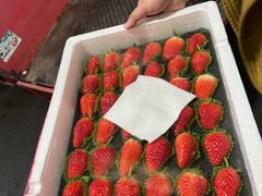 -西郊国际农产品交易中心