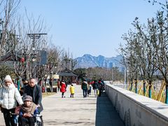 -江心屿景区
