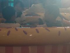 -七彩云南欢乐世界