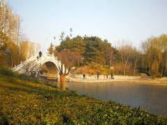 -团结湖公园