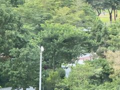 -香蜜公园