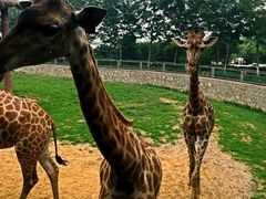 -石家庄市动物园