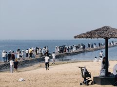 -青岛第二海水浴场