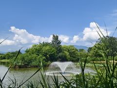 -翠湖国家城市湿地公园