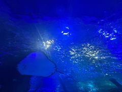 -江和美海洋公园