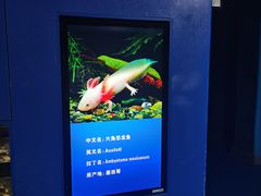 -厦门海底世界