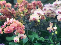 -北京植物园-展览温室