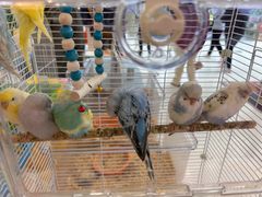 -万达广场(大明宫店)