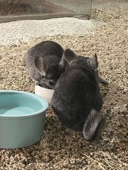 -酷嗒动物文化乐园(cutezoo西溪乐天城店)