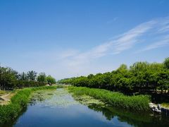 -大兴滨河森林公园