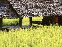 -湘邻呷铺·田园家宴(汉基广场店)