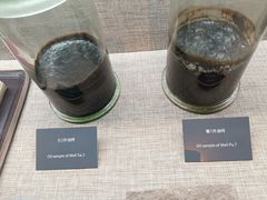 -大庆石油科技馆