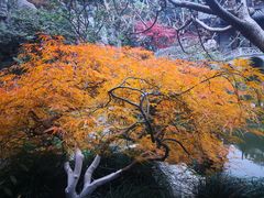 -胡雪岩故居