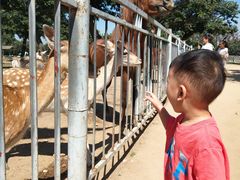 -西安秦岭野生动物园