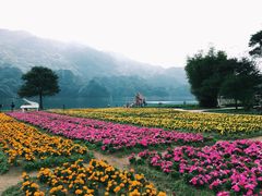 -广州市石门国家森林公园
